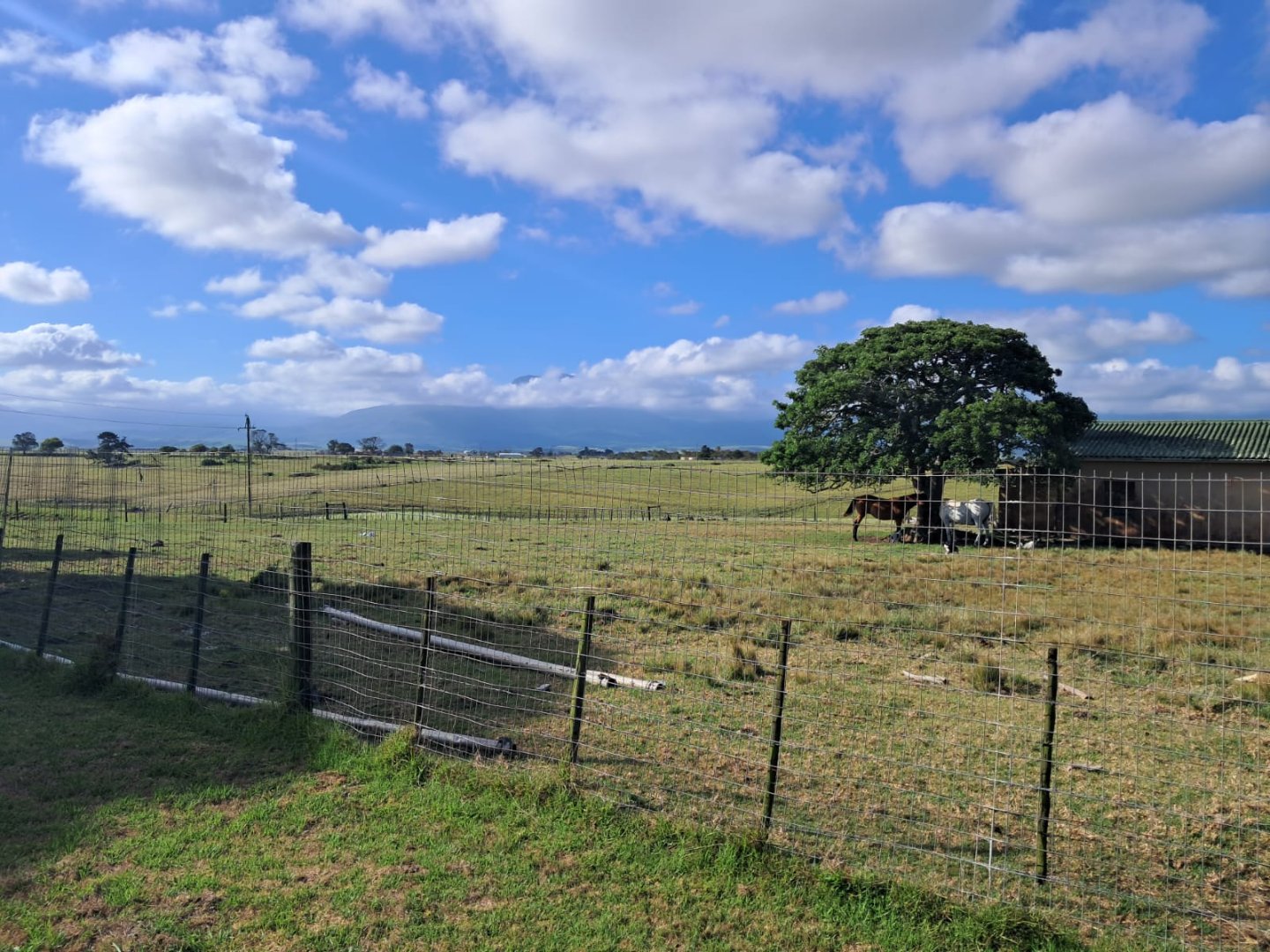  Bedroom Property for Sale in Groot Brakrivier Rural Western Cape